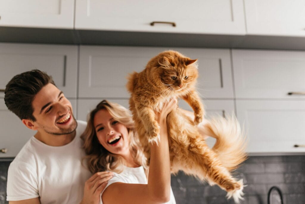 A smiling couple holds up a fluffy orange cat in their kitchen with white cabinets, sharing a candid moment that brightens their day. Their love for animals shines through, creating a joyful atmosphere reminiscent of visiting a friendly dog groomer in the Bay Area.